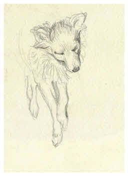 Visualizza l'immagine "FD D 1860"